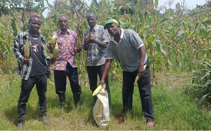 Integrated Environmental Renewal Project