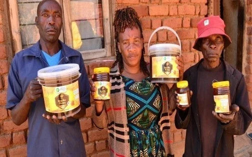 Updates from the IMARIKA Project